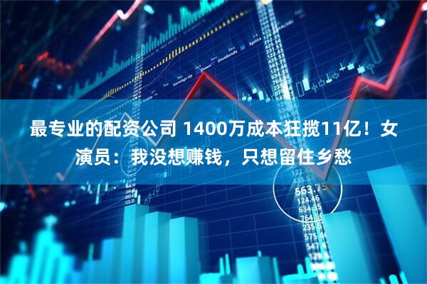 最专业的配资公司 1400万成本狂揽11亿！女演员：我没想赚钱，只想留住乡愁