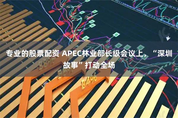 专业的股票配资 APEC林业部长级会议上，“深圳故事”打动全场